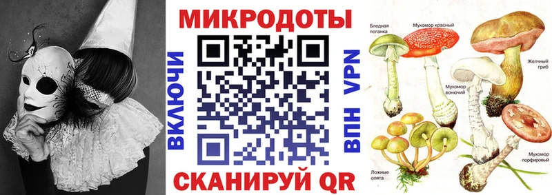 как найти Горбатов Галлюциногенные грибы прущие грибы